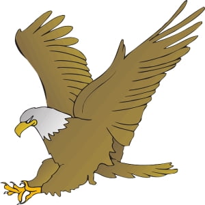 Eagle