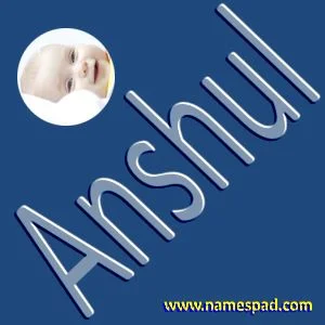 Anshul