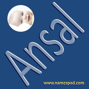 Ansal