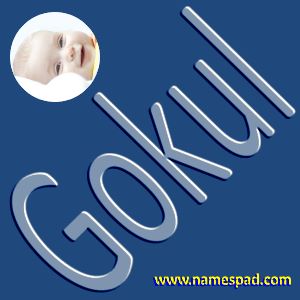 Gokul