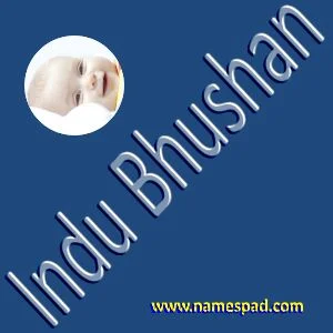 Indu Bhushan