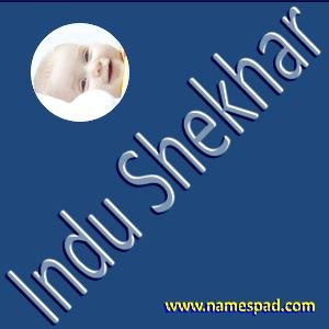 Indu Shekhar