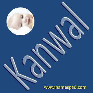 Kanwal