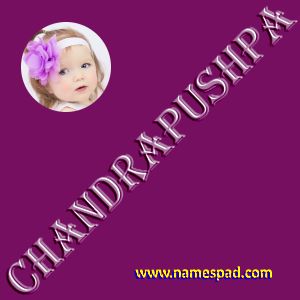 Chandrapushpa