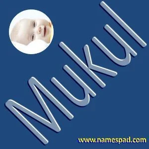 Mukul